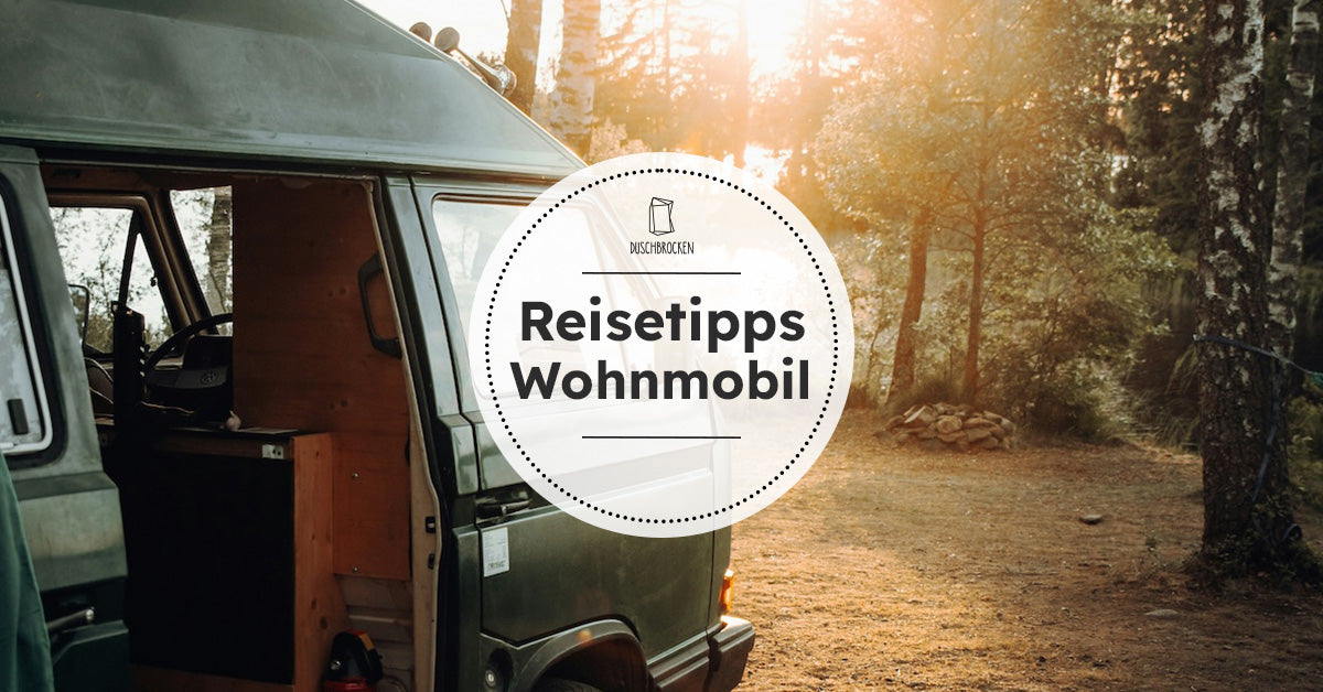 Campervan steht in der Lichtung eines Waldes und die Schiebetüre ist offen