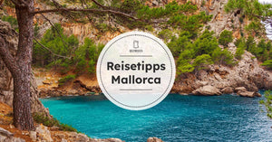 Bucht auf Mallorca mit Baum und Felsen