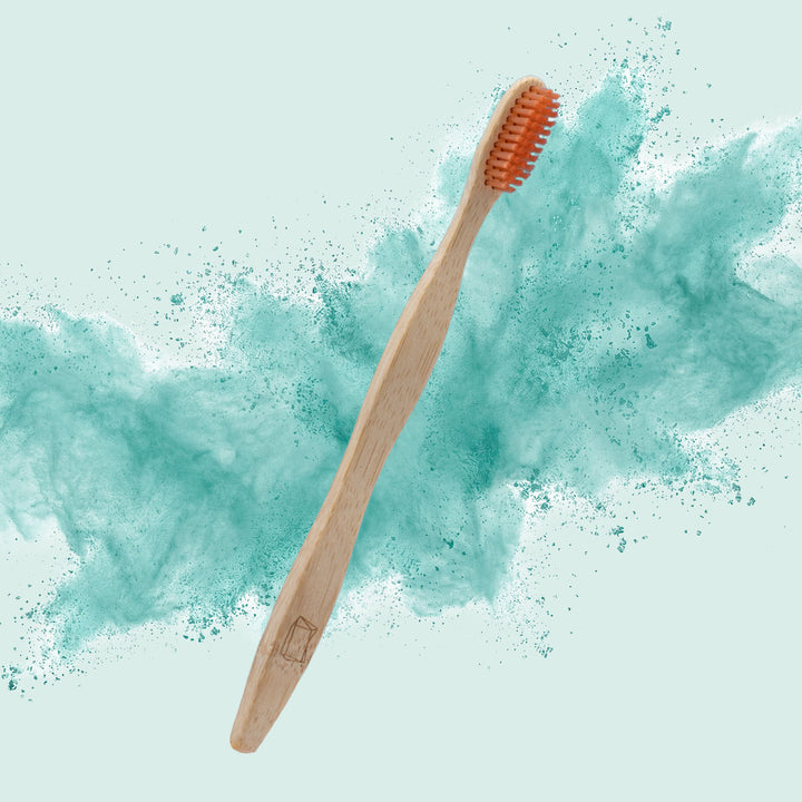 Bambuszahnbürste